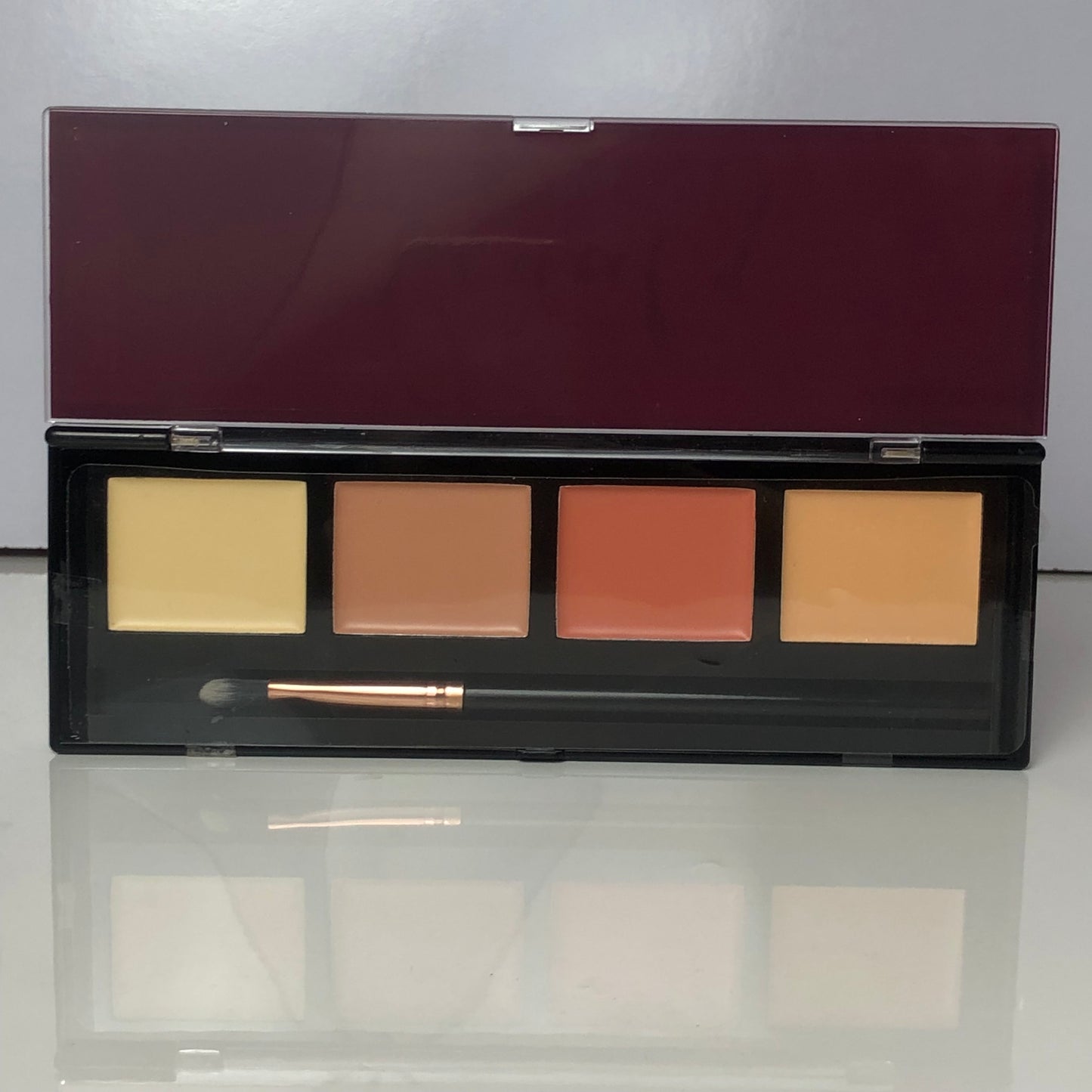 Profusion Beauty Contour and Conceal Concealer kit